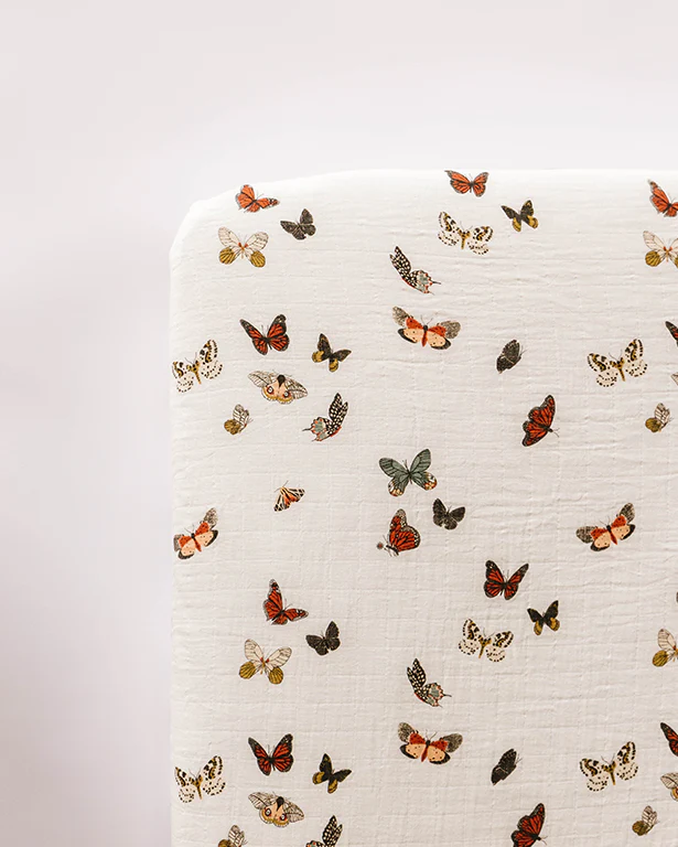 Butterfly Essential Bundle - Image 5