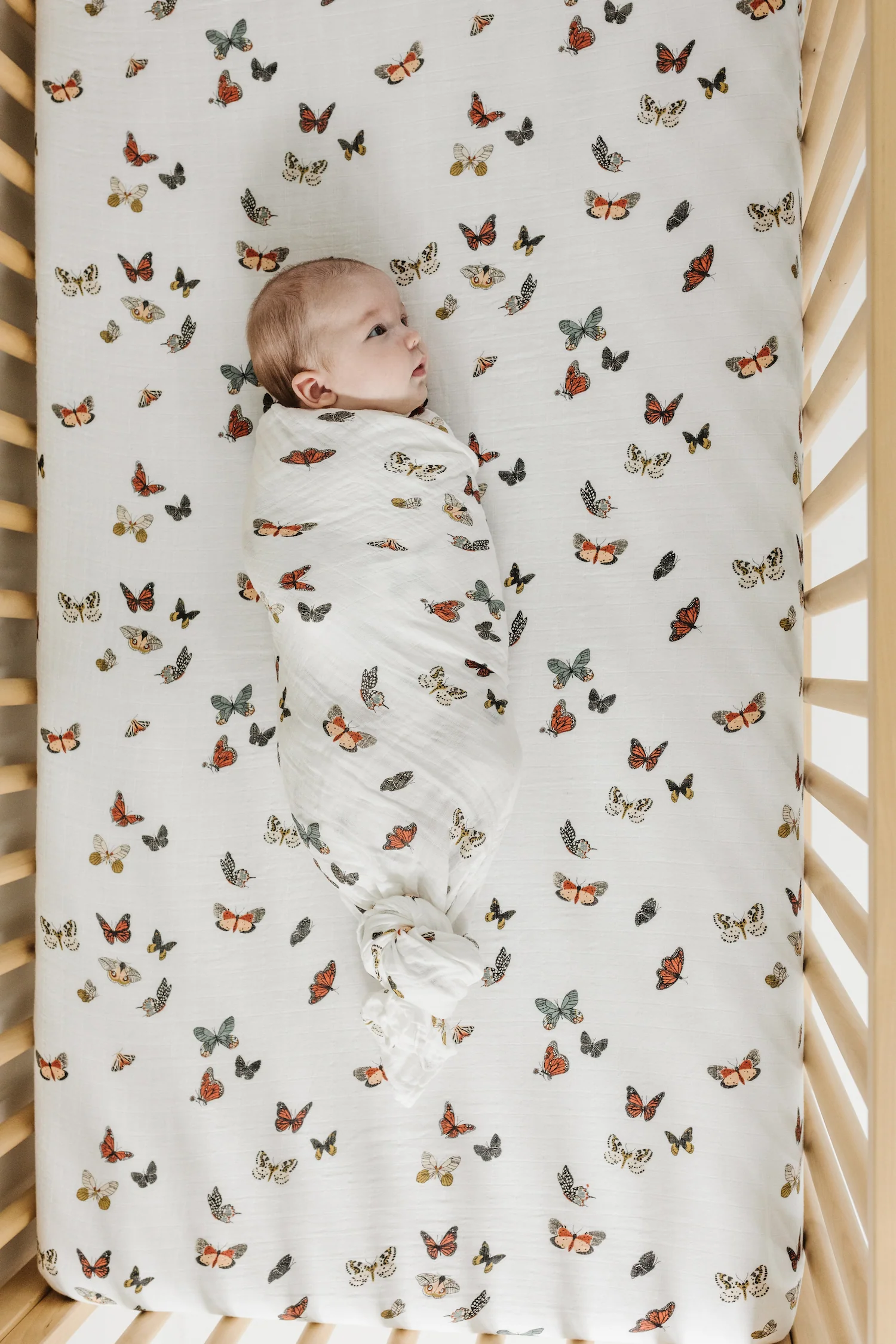 Butterfly Migration Crib Sheet - Image 5