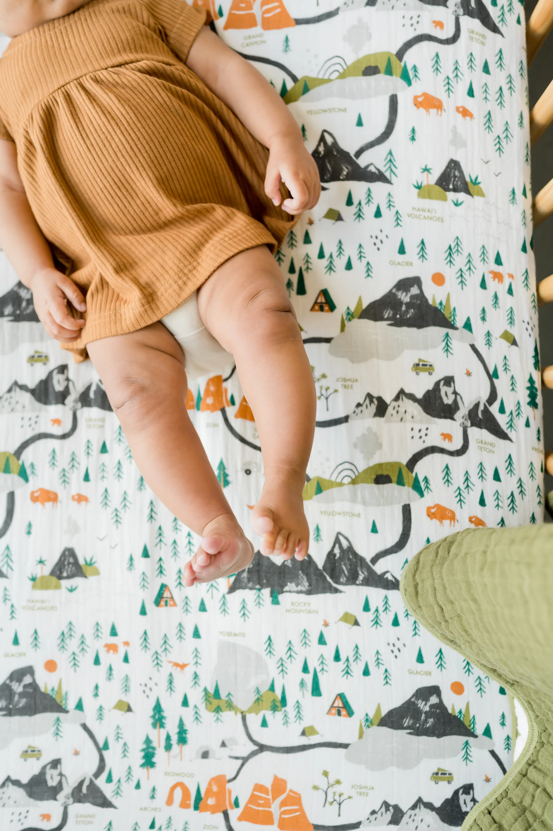 National Parks Crib Sheet - Image 5